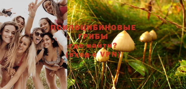 кокс Абаза