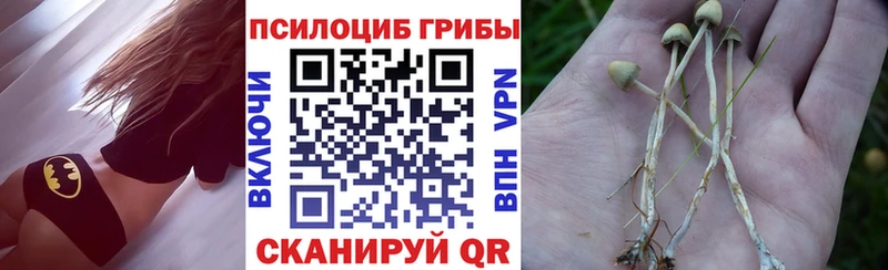 Псилоцибиновые грибы мицелий купить наркоту Мосальск